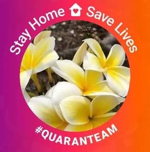 Meet your Posher, Connie